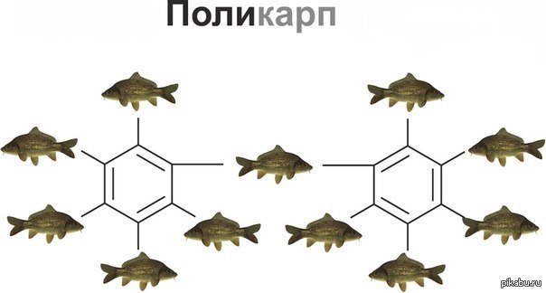 Поликарп | Пикабу