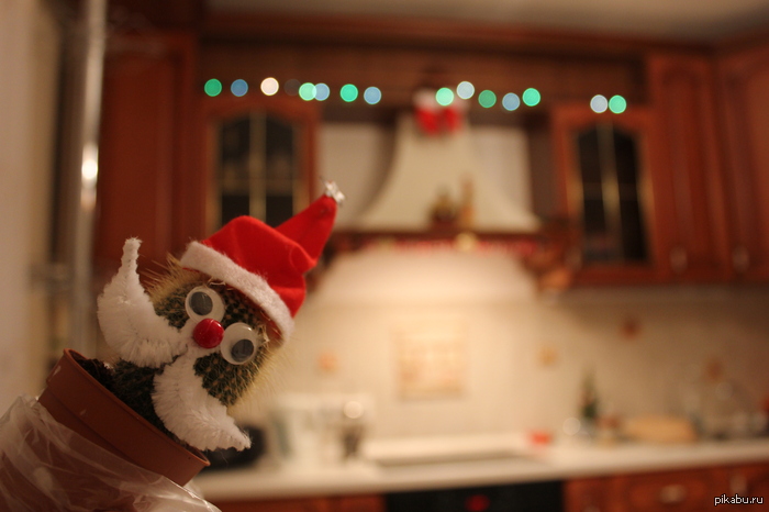 ������ �� �������!