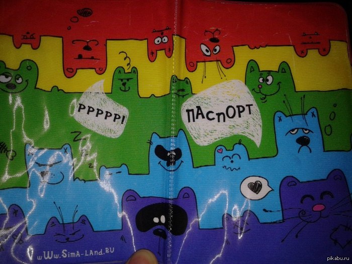 Обложка паспорта должна быть такой, чтобы и вы улыбались, и хмурые дяди и тети, которые просят у вас документы!))
