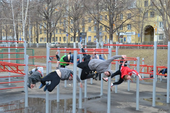 Весна, вместо птиц какая то херня прилетела