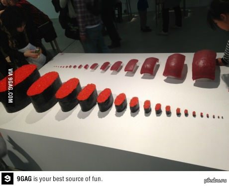 ���� ����� ����