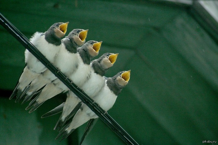 Даже не знаю как это прокомментировать...