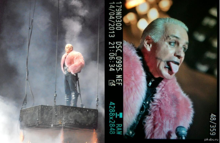 ����� ����� ����� ����������