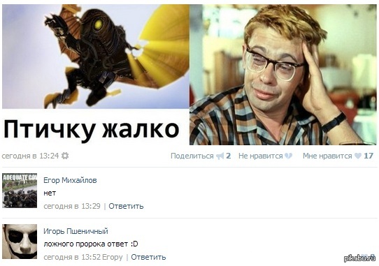 Птичку Жалко Картинка Смешная