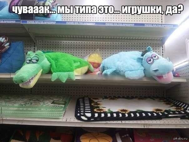 �� ���� �������