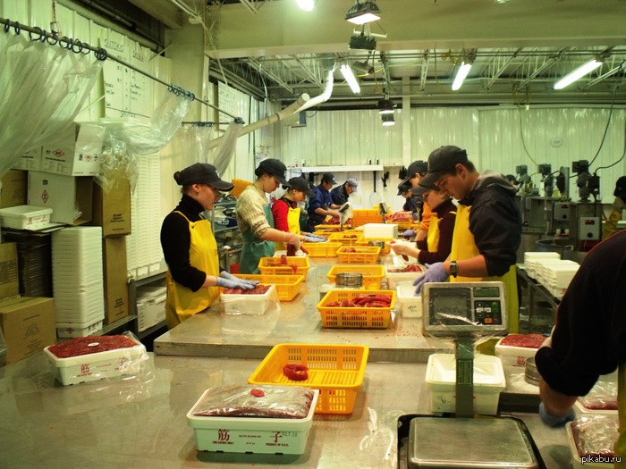 ������� ���������, 2009 ���