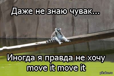 Грустный лемур | Пикабу