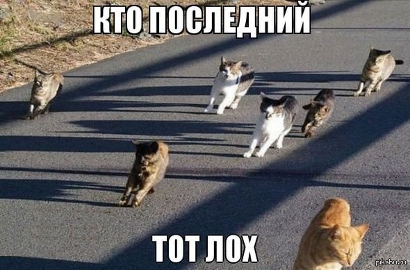 Кто последний тот не кот)