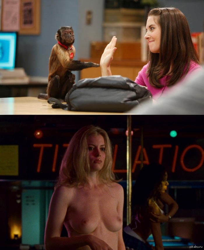 Annie's Tits Vs. Britta boobs. - NSFW, My, Animals, Boobs, Community