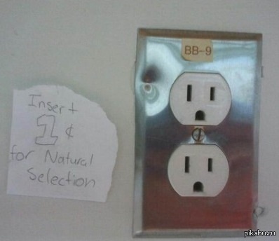 Пожертвуйте копеечку на естественный отбор