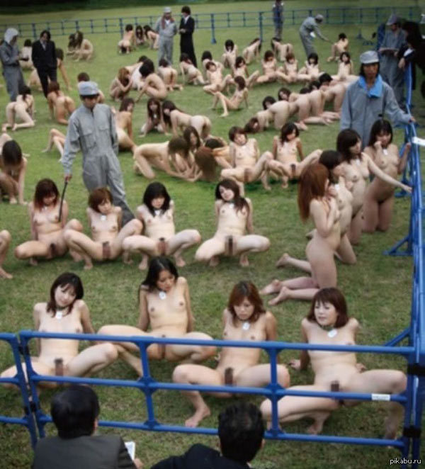 Chinese pasture - Erotic, Chinese, Girls, NSFW