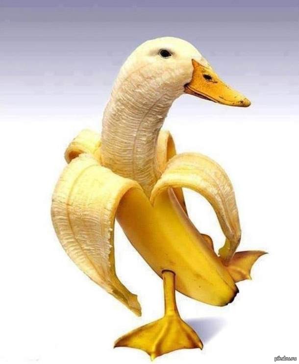 ˸���� ���������� )