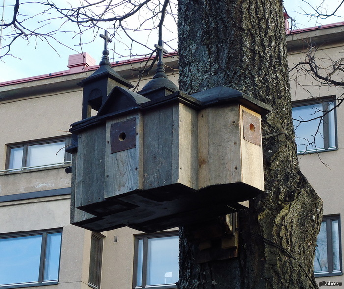 ���������� ������������ ����������