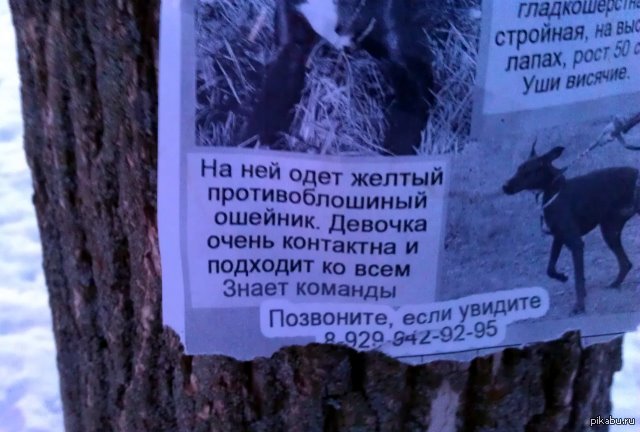 ������� ���������� �������