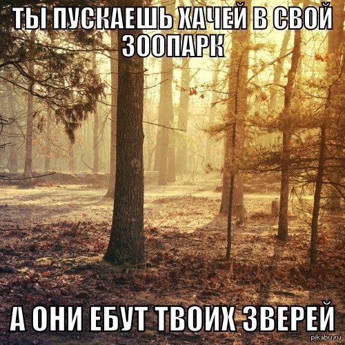 Зоозащитники негодуют!