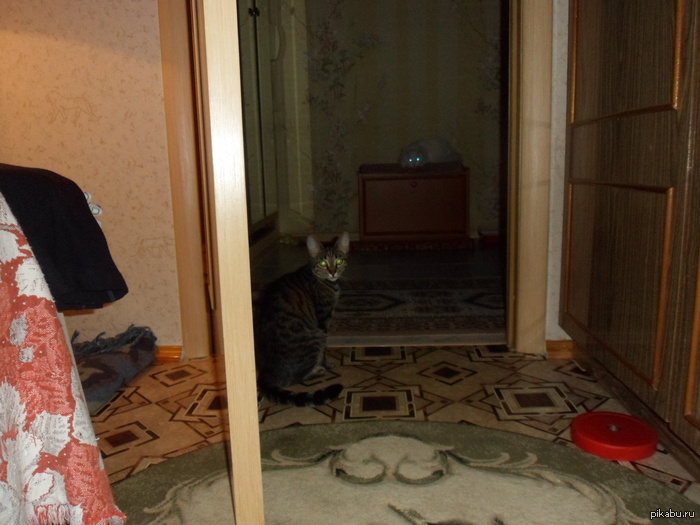 ������ �����