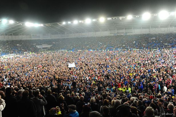 Crazy at Cardiff City Stadium - Болельщики, Football, The photo