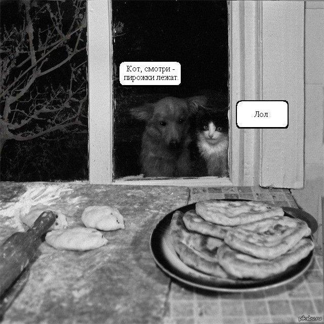 Голод не тетка