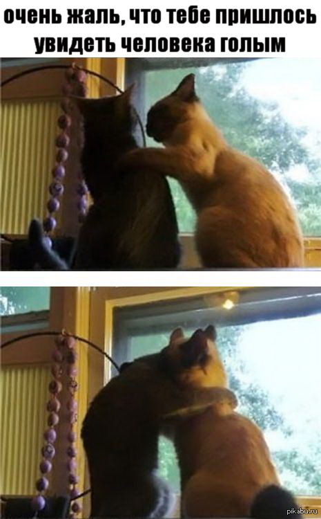 � ����� ���� ����������)