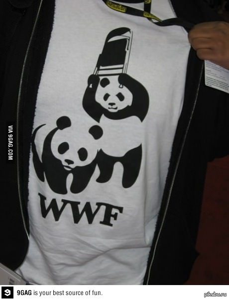 WWE  WWF