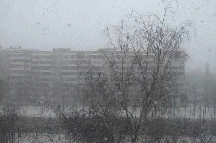 2 ������� 2013 �. �����