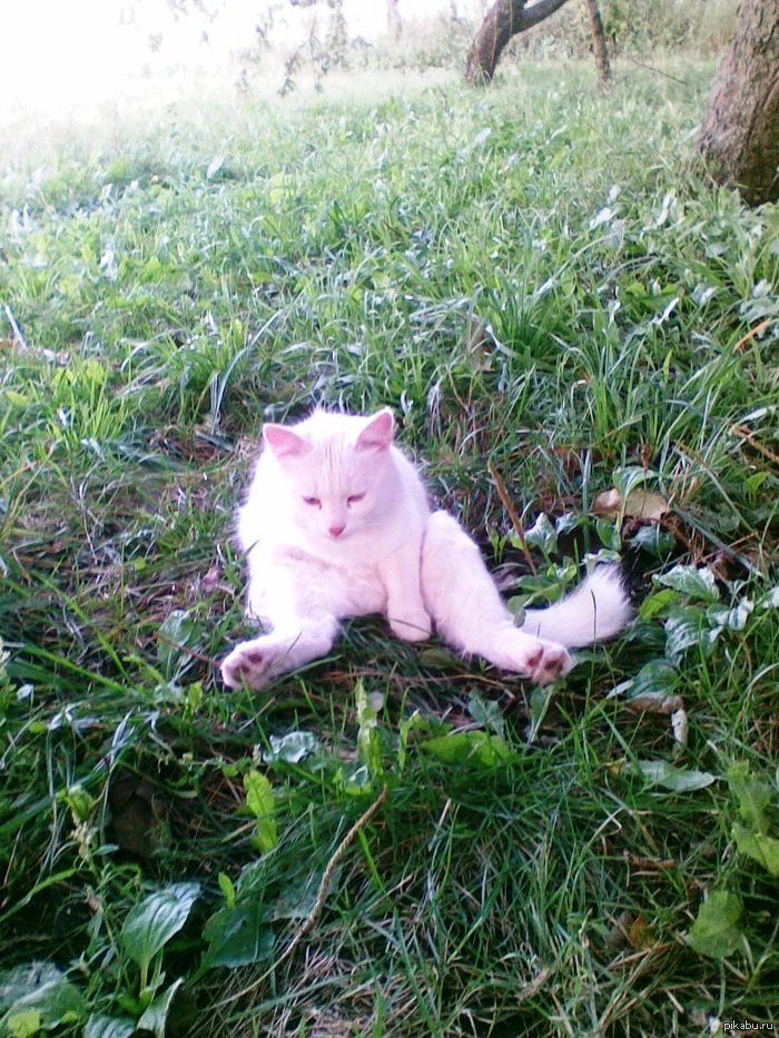 ����������� ���� � ��������!