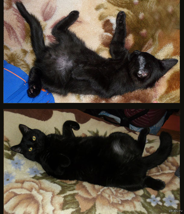 ���� ���� ������������ ����� �����) ��������� � �������� ����������, �������� ��������. ����� ����� ���������!