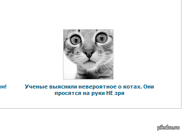 �������� ��� �����!