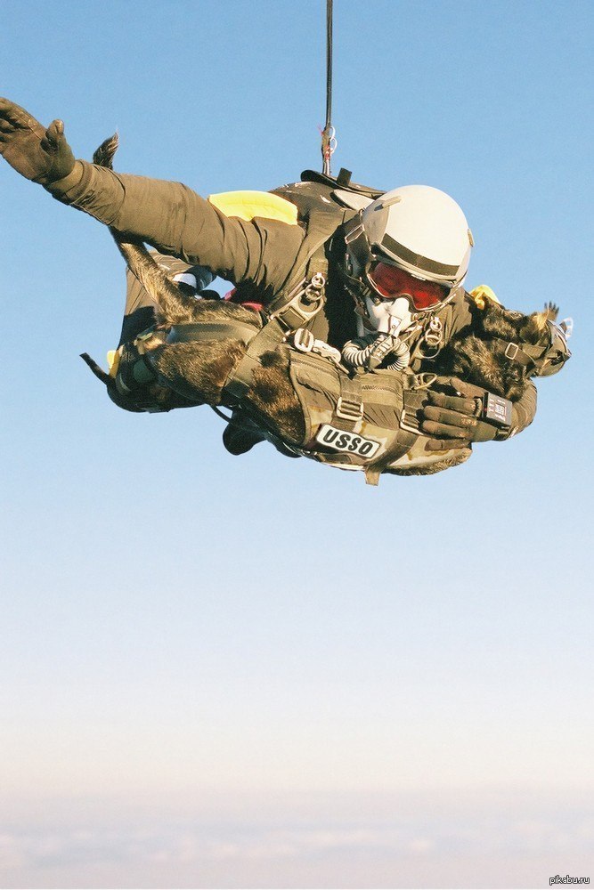 ������ ���� ������� � ��� ������