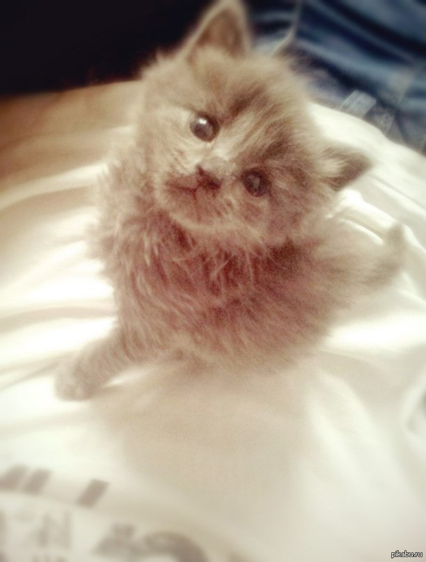  :3