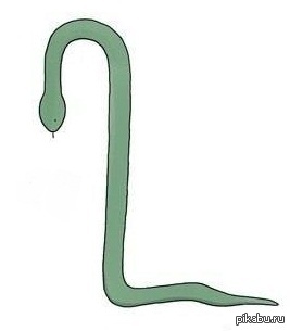 ���� ������� ��������� ���������� ����������.