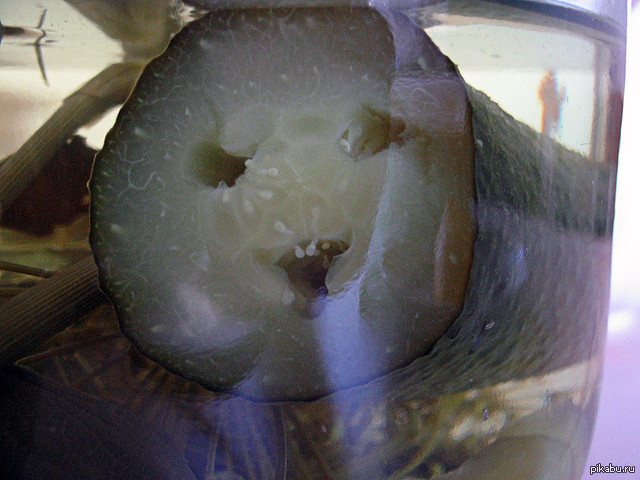 Кукумбер-убийца