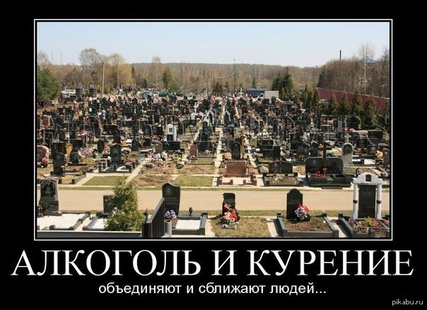 Кури, бухай - подыхай))