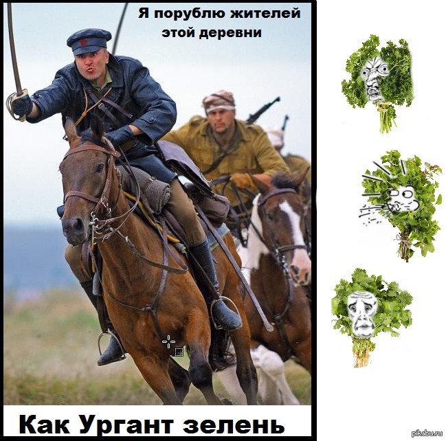 ��� ������ ������.