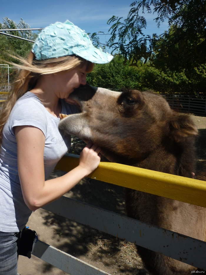 � ��� ��� ����� ��������� � ��������� ��������