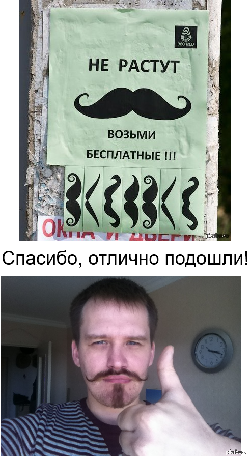 Спасибо бро. Возьми усы. Усы с надписью. Объявление возьми усы. Не растут усы возьми бесплатные.