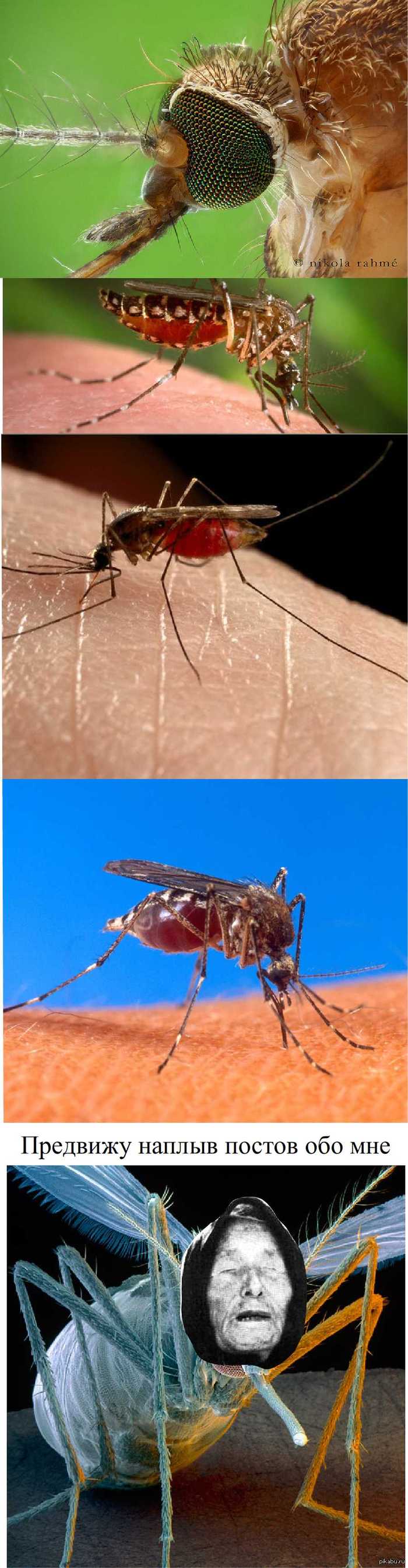 У кого уже появились?