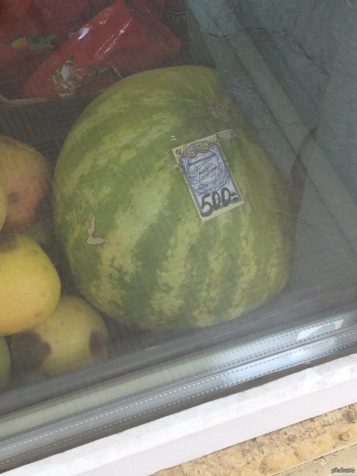 � � ��� ��� ����� ����� ��� �������