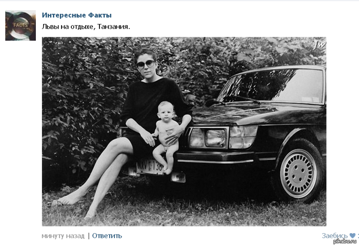 ������ ���������� ����� ������� ������� � ������ ��������)