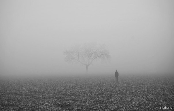 Ребята, простите за рекламу, вот наш лютый паблик, лицам до 18, беременным, и людям со слабой психикой прошу не заходить...