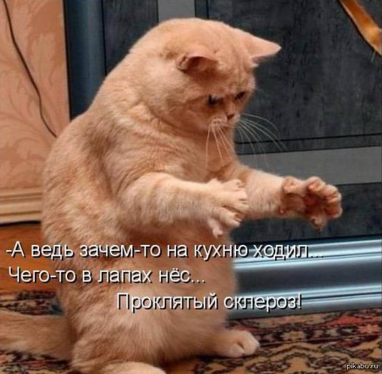 � ���� ����� ����� ������