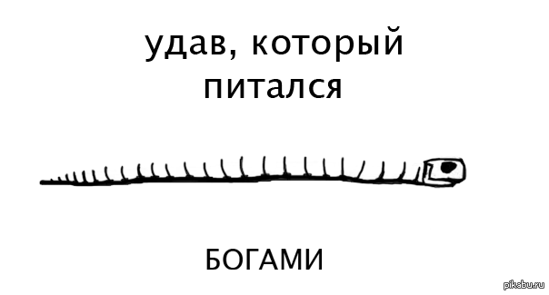 Ресурс удава ежедневные картинки