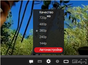 ������ ��� ����� ����