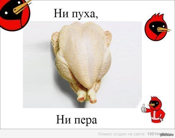 Виды перьев у птиц. Рука с пером. Значение приставок. Значение перьях значение. Строение пера птицы 1 класс окружающий мир.