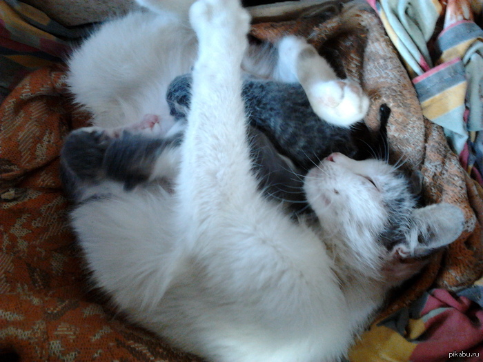 ��� �������!!!