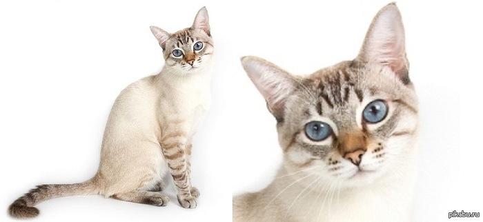 � ��� � ��� �������))) ������� �����. ����� ���-����� �����)