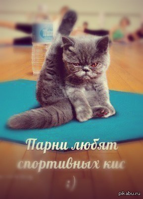 ����� ����� ���������� ���)