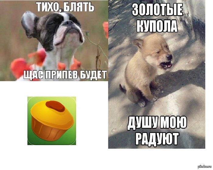 Собакен-шансонщик дуэт)