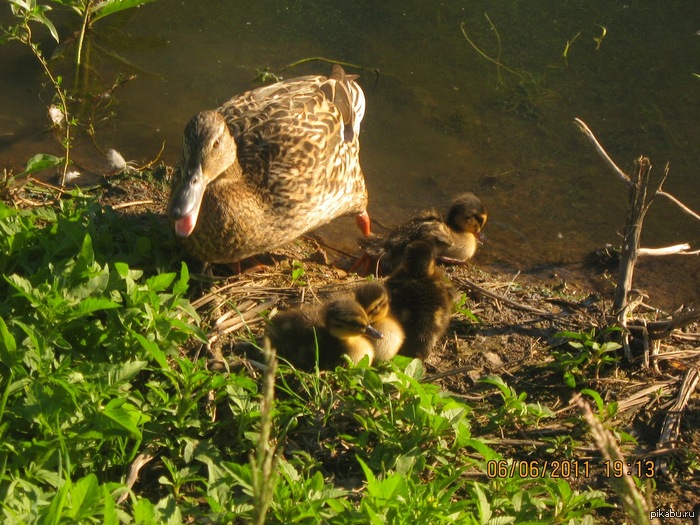 ������ =)