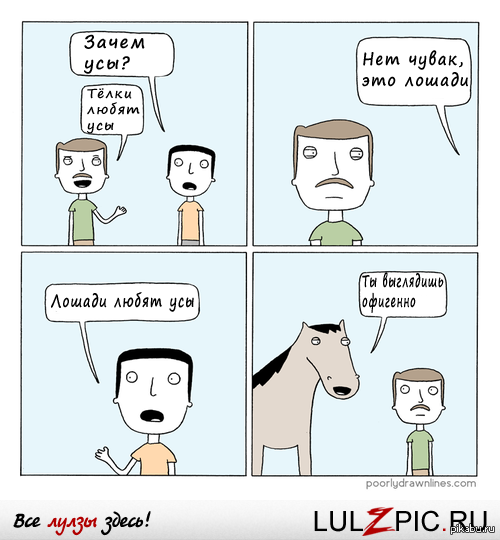 Лошадь знает о чем говорит..
